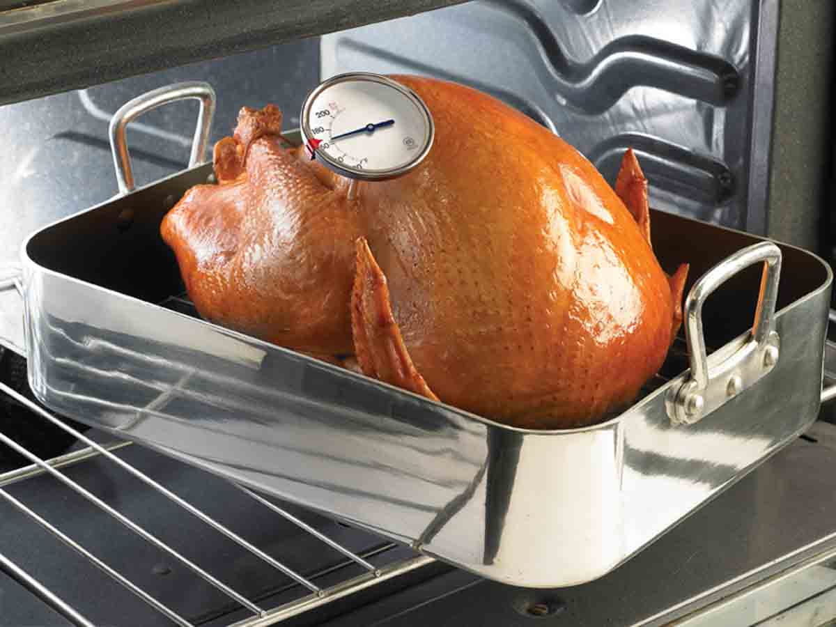 Image of Turkey with meat thermometer. Copyright US-USDA Public Domain