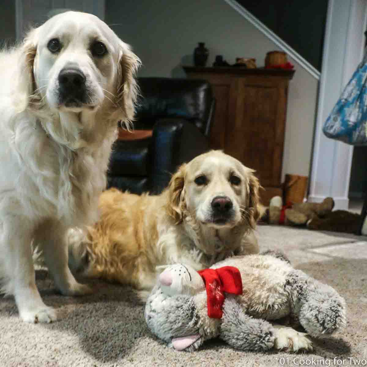 Molly and Lilly with a stuffed toy.