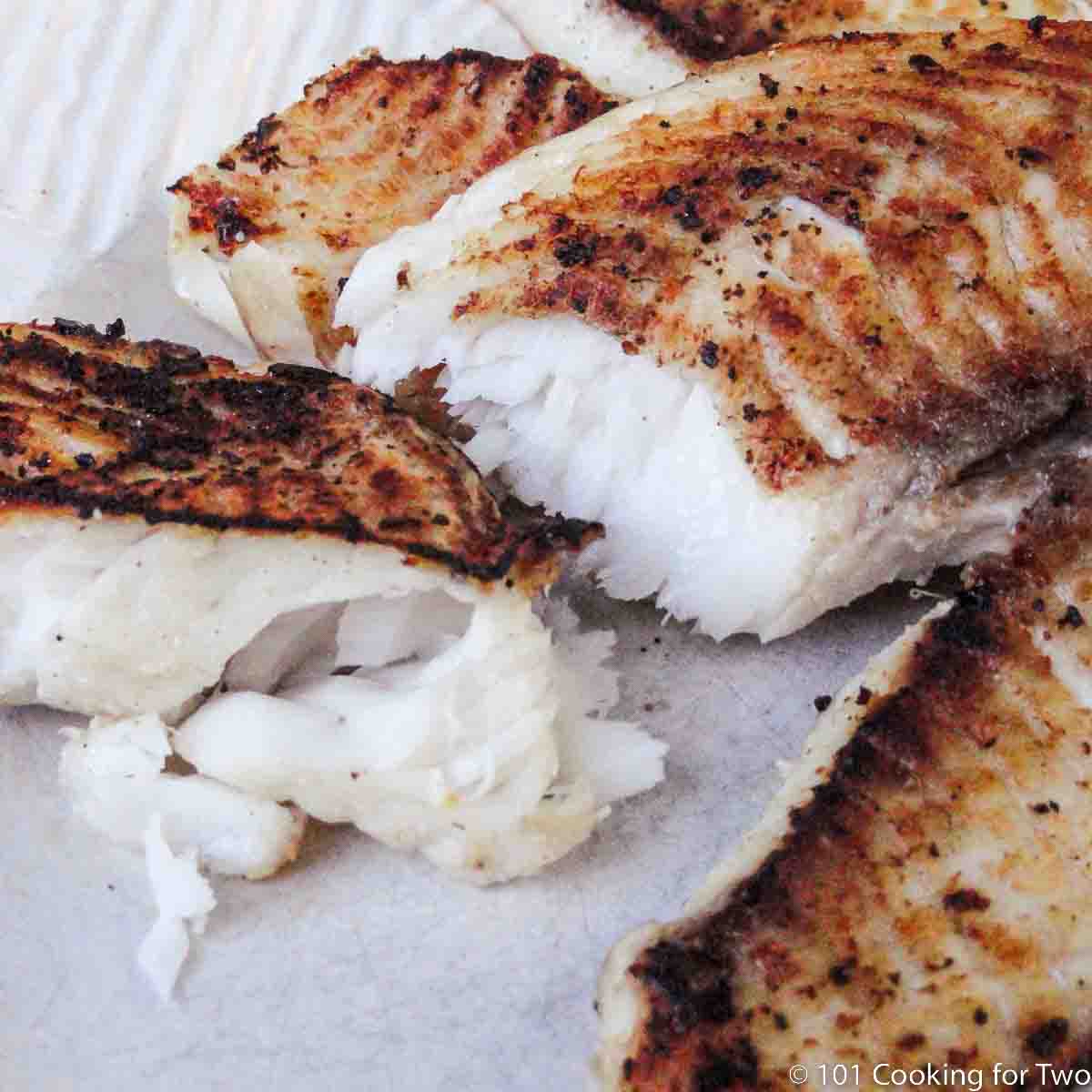 Flakey tilapia with grill marks.