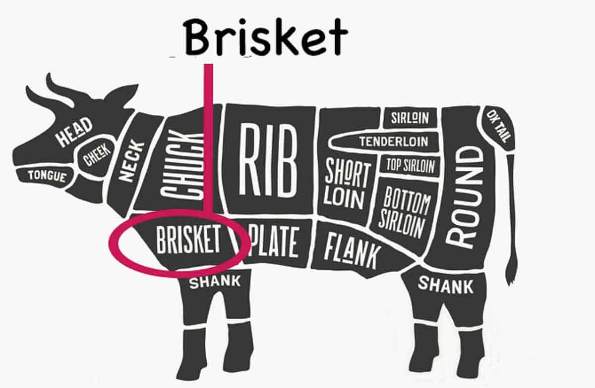 Graphic with location of brisket — do not copy.