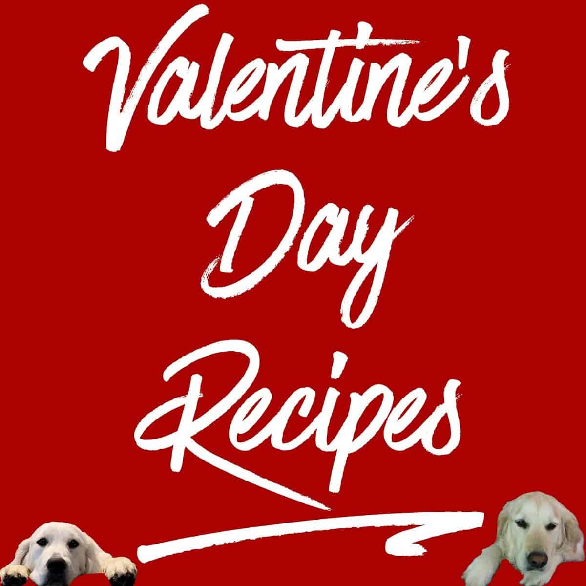 Valentines Day recipe graphic with dogs,