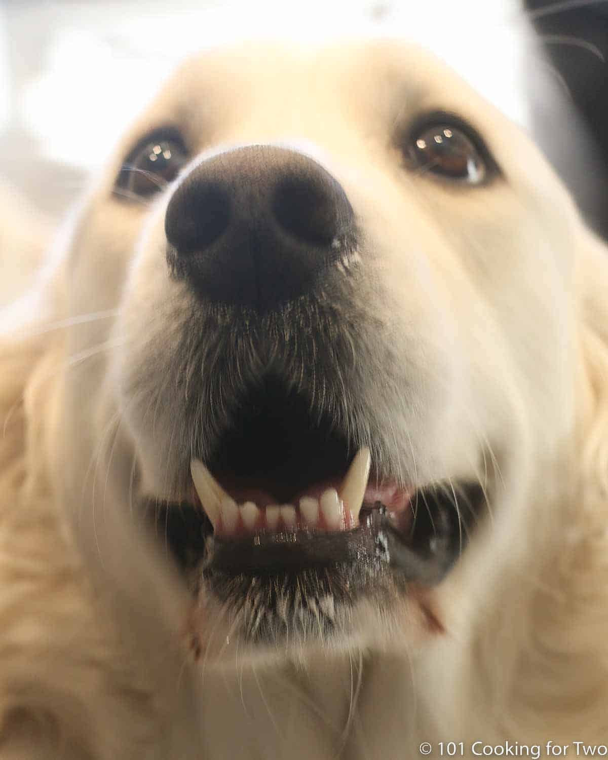 Molly smiling into the camera.