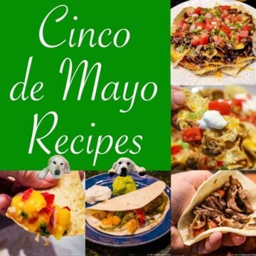 Graphic markup for Cinco de Mayo.2023recipe collection