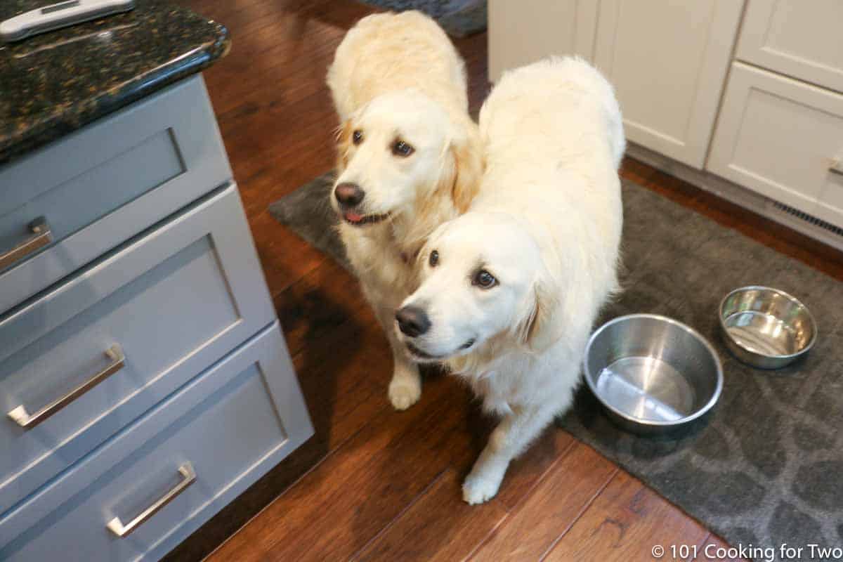 Molly and Lilly in the Kitchen.