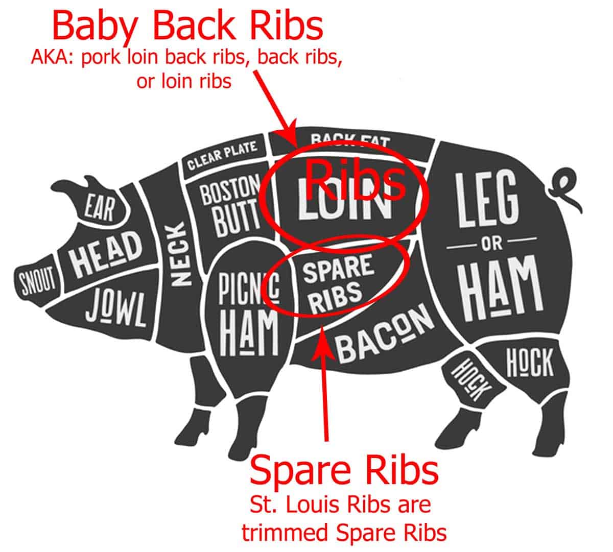 graphic with location of baby back ribs- licensed from Fotolia May 16,2017. Copyright foxysgraphic - Fotolia. Modified per allow by licensed.