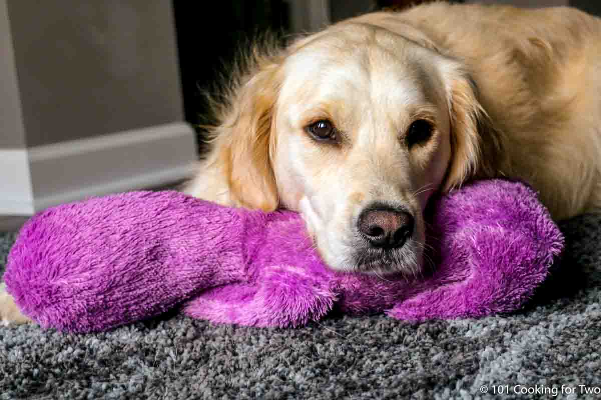 Lilly with purple puppy.