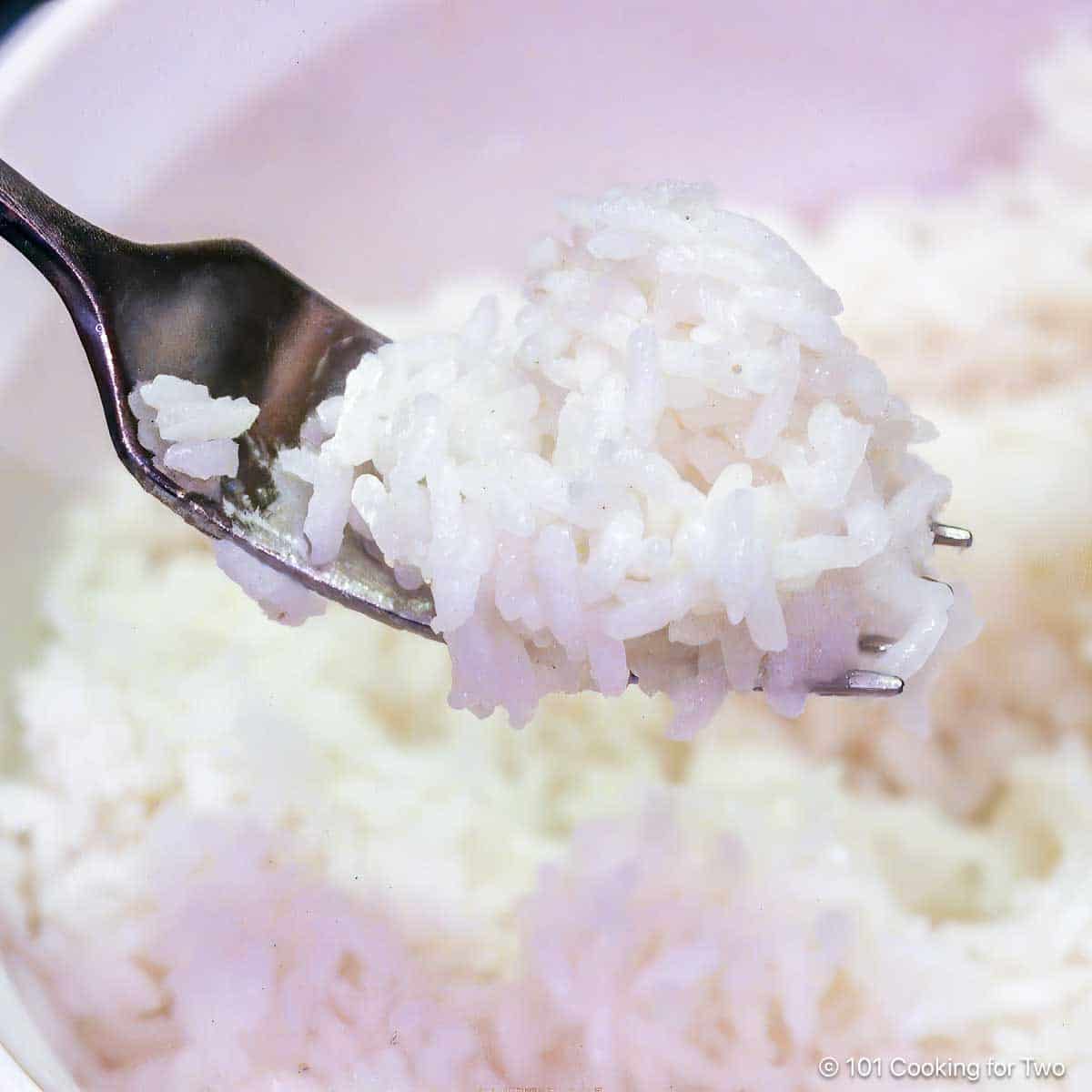 https://www.101cookingfortwo.com/wp-content/uploads/2023/07/cooked-rice-on-a-fork-2.jpg