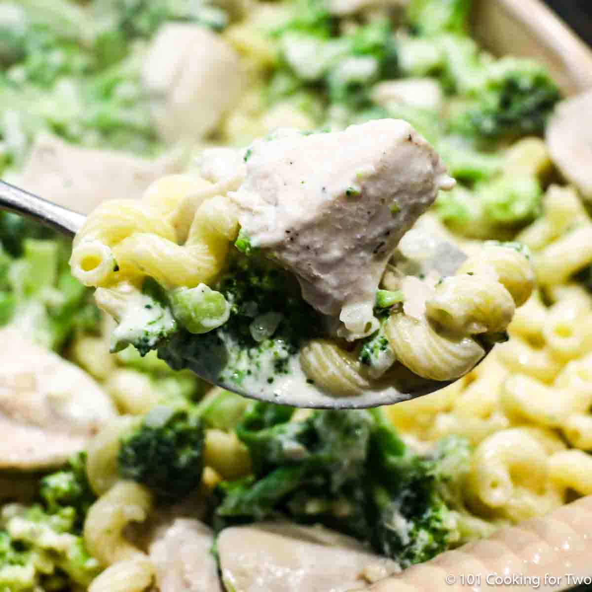 spoonfull of Boursin pasta with chicken and broccoli.