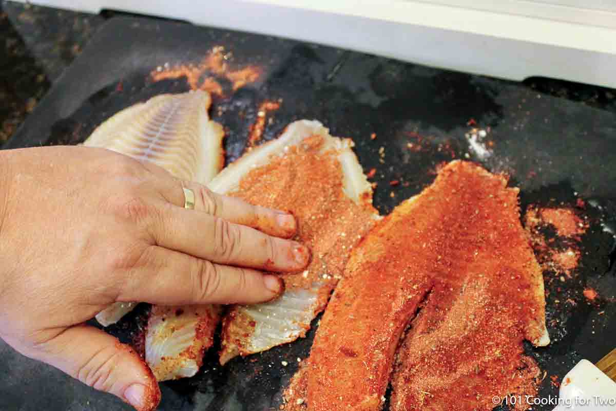 rubbing spices on tilapia.