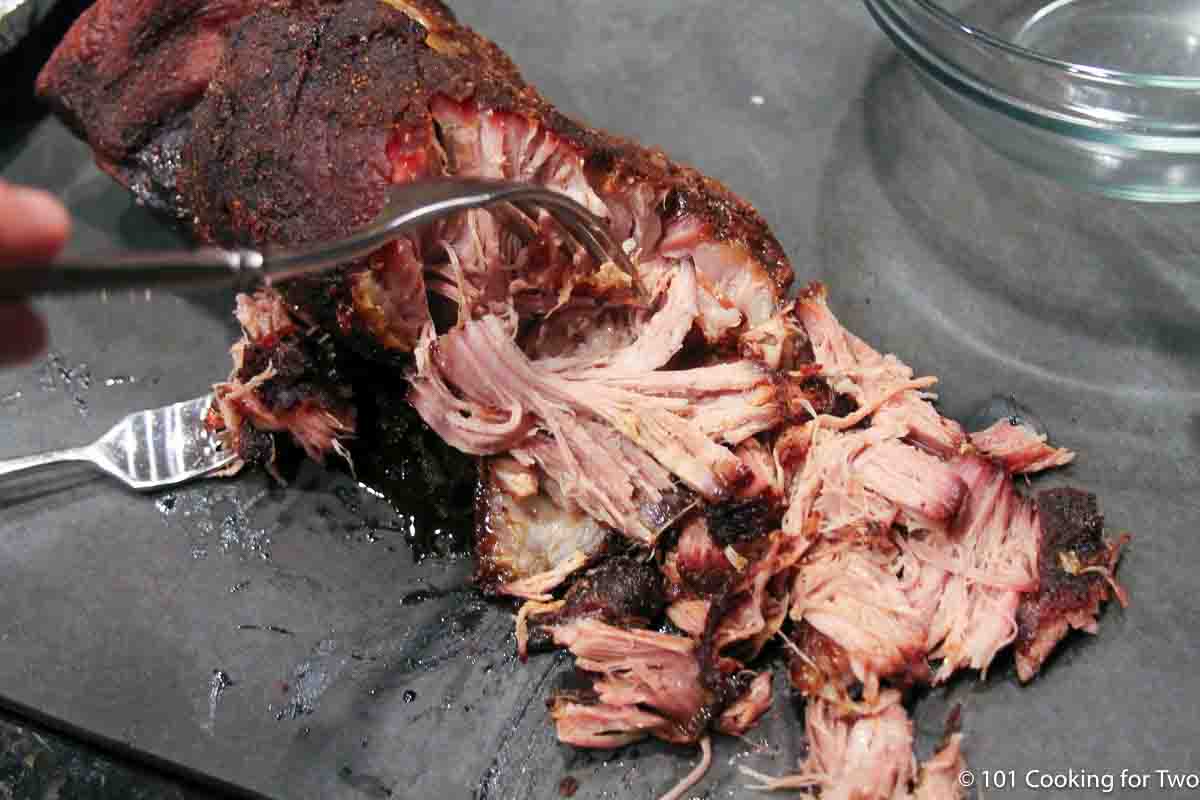 shredding pork butt with forks.