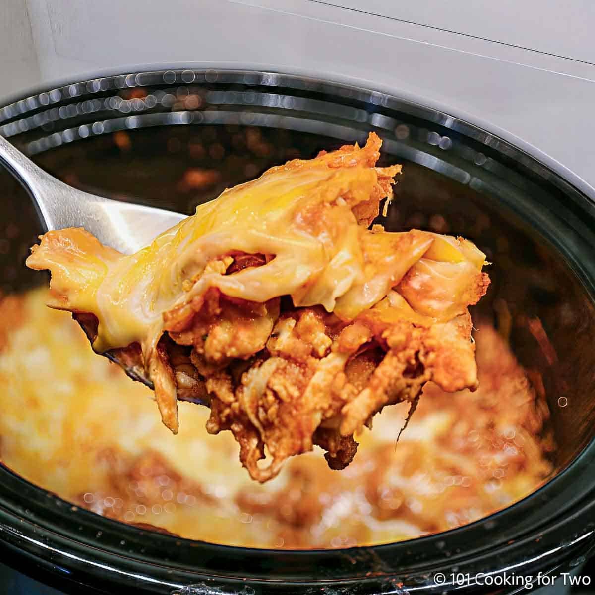 Crock pot chicken enchilada on a spoon.
