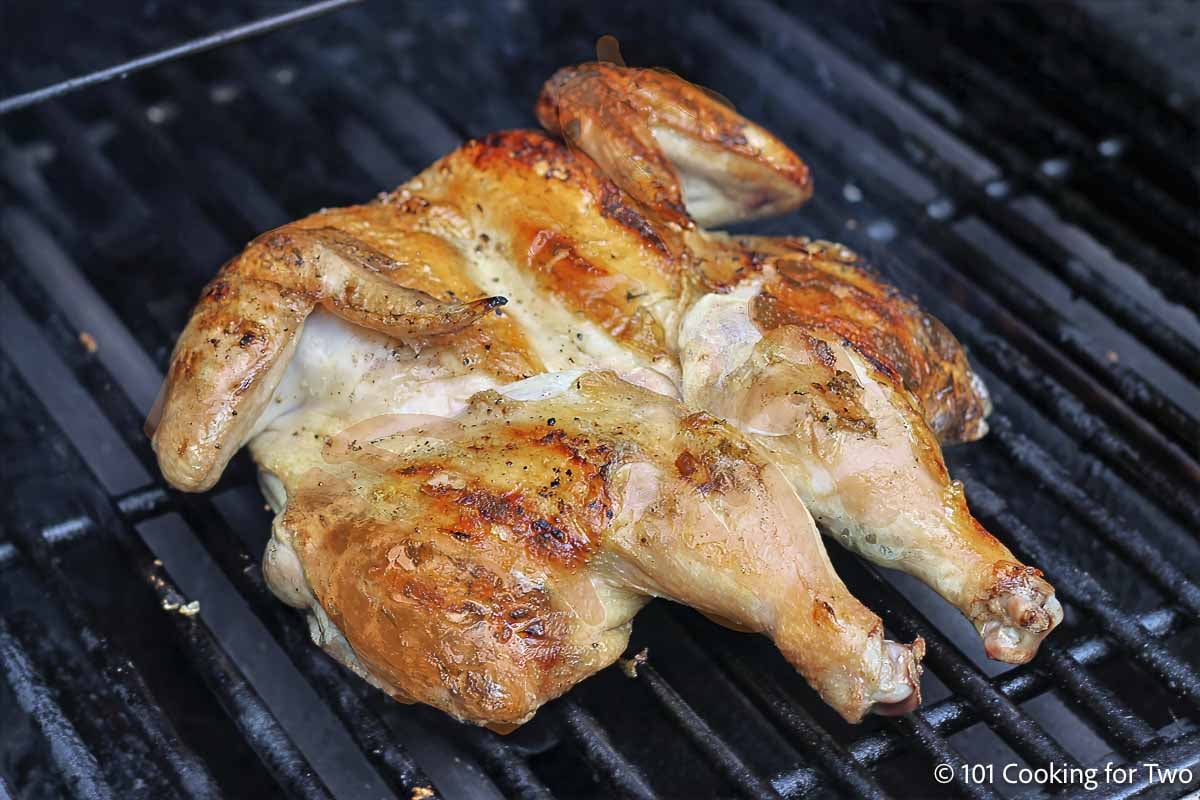 Flattened chicken after skin side down.
